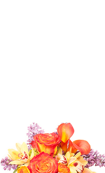/images/stencil/original/image-manager/adminmob.jpeg