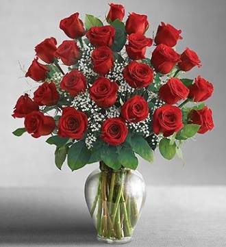 Valentine's Day roses