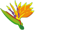 Albuquerque Florist