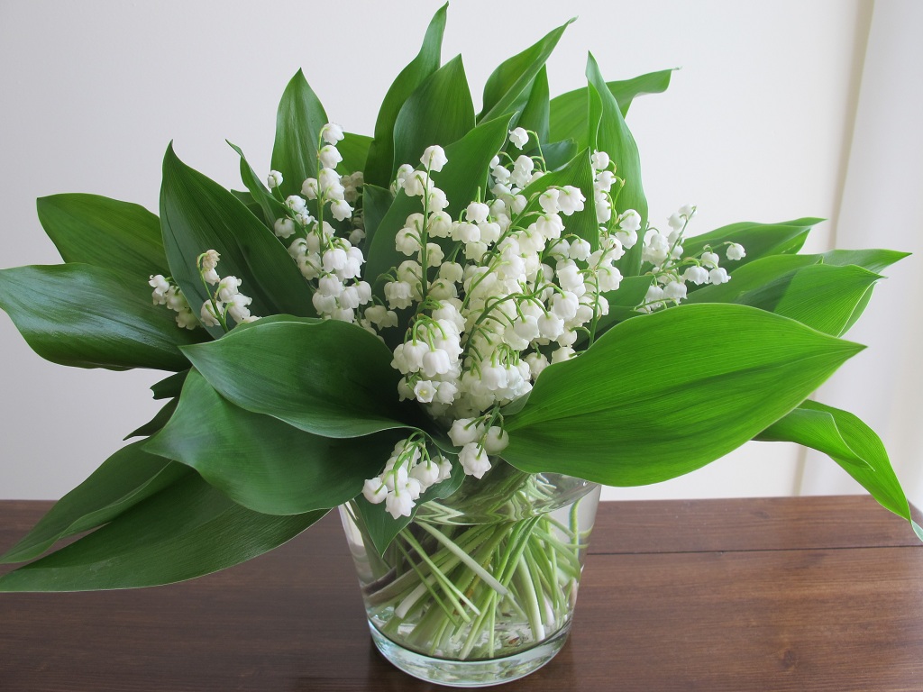 May Flower Lore: Lily of the Valley and Hawthorn - Farmers